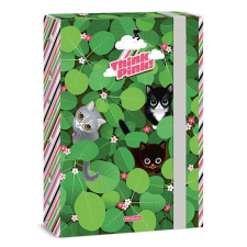 Ars Una Füzetbox ARS UNA A/4 Think Pink füzetbox