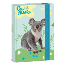 Ars Una Füzetbox ars una a/5 cuki-koala 50864287 füzetbox