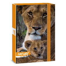 Ars Una Füzetbox ARS UNA A/5 Máté Bence-lion füzetbox