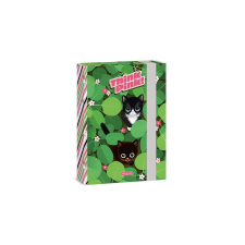 Ars Una Füzetbox ARS UNA A/5 Think Pink füzetbox