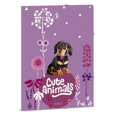 Ars Una Gumis mappa ARS UNA A/4 Cute Animals-Puppy mappa