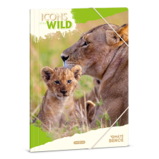 Ars Una Icons of the Wild-Lions 25 (5504) A4 gumis mappa (50215041) mappa