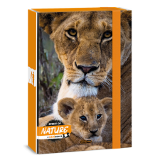 Ars Una Máté Bence-Lion 24 (5433) A4 füzetbox füzetbox