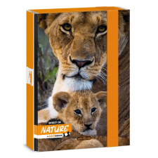 Ars Una : Máté Bence Spirit of Nature - Oroszlános füzetbox A/5 füzetbox