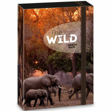 Ars Una : Máté Bence The Eyes of the Wild elefántos füzetbox A/5 füzetbox