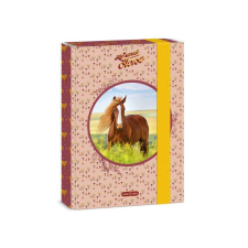 Ars Una : My Sweet Horse A5 füzetbox füzetbox