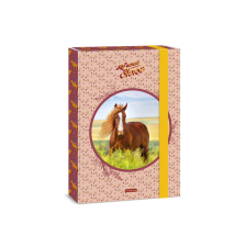 Ars Una : My Sweet Horse Lovas A4 füzetbox füzetbox
