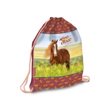 Ars Una : My Sweet Horse tornazsák, sportzsák 32x42cm tornazsák