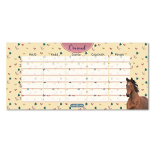 Ars Una Órarend ARS UNA egylapos kétoldalas Wild And Free órarend