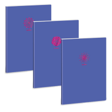 Ars Una : Soft Touch Violet Spring extra kapcsos vonalas füzet A/4 füzet
