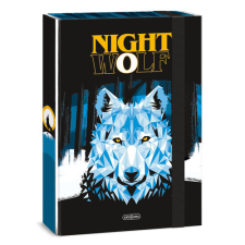 Ars Una Studio Kft. Ars Una A4 füzetbox Nightwolf (5257) 23 füzetbox