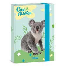 Ars Una Studio Kft. Ars Una A5 füzetbox Cuki-Koala (5428) 24 füzetbox