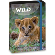  Ars Una The eyes of the wild lion 5216 A4 füzetbox füzetbox