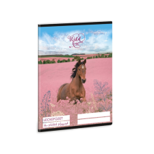 Ars Una : Wild and Free leckefüzet 38 lapos A/5 füzet