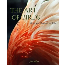  Art of Birds idegen nyelvű könyv