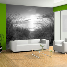 Artgeist Fotótapéta - beach (black and white) 300x210 tapéta, díszléc és más dekoráció