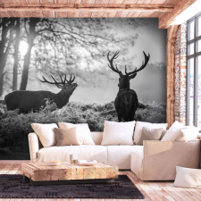 Artgeist Fotótapéta - Deers in the Morning 300x210 grafika, keretezett kép