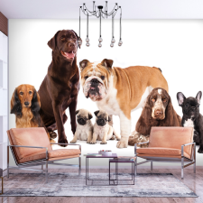 Artgeist Fotótapéta - Dog Integration 400x280 grafika, keretezett kép