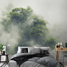 Artgeist Fotótapéta - Foggy Amazon 450x315 tapéta, díszléc és más dekoráció
