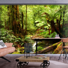 Artgeist Fotótapéta - Forest Brook 300x210 tapéta, díszléc és más dekoráció