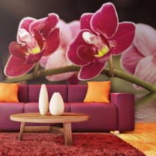 Artgeist Fotótapéta - Gyönyörű orchidea virágok a víz tapéta, díszléc és más dekoráció