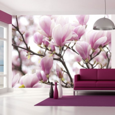 Artgeist Fotótapéta - Magnolia bloosom tapéta, díszléc és más dekoráció