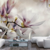 Artgeist Fotótapéta - Subtle Magnolias - First Variant 250x175