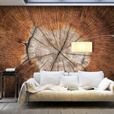 Artgeist Fotótapéta - The Soul of a Tree 400x280 tapéta, díszléc és más dekoráció