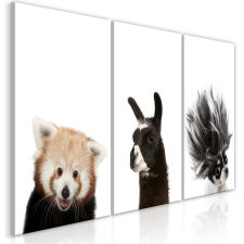 Artgeist Kép - Friendly Animals (Collection) 60x30 grafika, keretezett kép