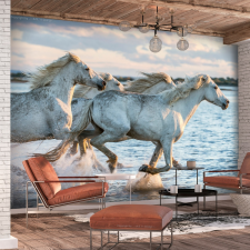 Artgeist Öntapadó fotótapéta - Wild Race 294x210 grafika, keretezett kép