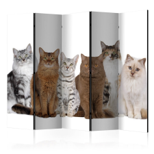 Artgeist Paraván - Sweet Cats II [Room Dividers] grafika, keretezett kép