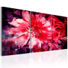 Artgeist Vászonkép - Crimson Flowers 120x60