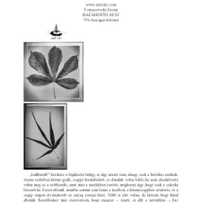 Articity Hazahozni apát egyéb e-könyv