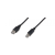 Assmann USB connection cable, type A - B