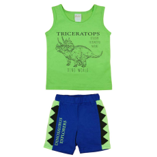 Asti Dinoszauruszos kisfiú nyári szett