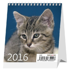 Asztali naptár MINI CICÁK 2016.évi KRENN naptár, kalendárium