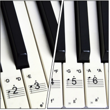  Átlátszó zongorabillentyűzet matricák, fekete-fehér matrica