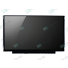 AU Optronics B116XW03.1