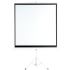 AVELI állványos vetítővászon, 84", (1:1)