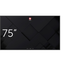 AVTEK DS 75' monitor (1TV315) monitor