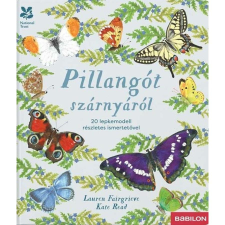 Babilon Kiadó Pillangót szárnyáról - 20 lepkemodell részletes ismertetővel gyermek- és ifjúsági könyv