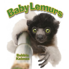 Baby Lemurs – Bobbie Kalman idegen nyelvű könyv