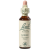 Bach Nr.13. Gorse virágesszencia 20ml