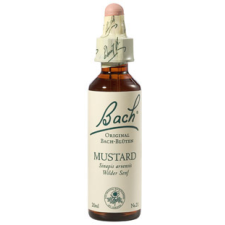 Bach Nr.21. Mustard virágesszencia 20ml vitamin és táplálékkiegészítő