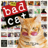  Bad Cat Wall Calendar 2026: Celebrating the Misfits of the Feline World – WALL