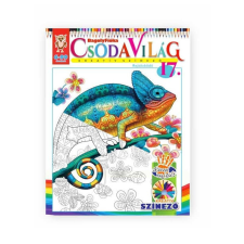  BagolyFióka - Csodavilág 17 - Rejtőzködő kreatív és készségfejlesztő