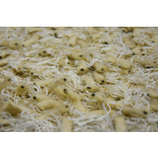 Bakero Bakero Shaggy Goa cream Szőnyeg (140x200 cm) lakástextília