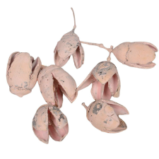  Bakuli falfestékes rózsaszín 16dkg/csom dekorációs kellék