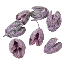  Bakuli szárított mauve 20dkg/csom dekorációs kellék