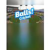  Balls! Virtual Reality Cricket (digitális licenc)